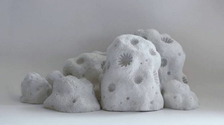 Фабьен Кусто печатает коралловые рифы на 3D-принтере