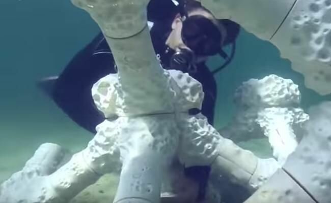Напечатанный на 3D-принтере коралловый риф размещают на дне